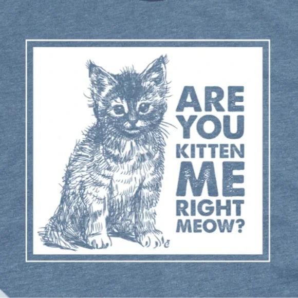Cat Lady Small Blue Cat Shirt “Are You Kitten Me Right Meow” NEVER WORN - Picture 3 of 6